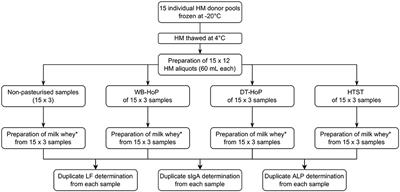 Holder Pasteurization: Comparison of Water-Bath and Dry-Tempering Devices